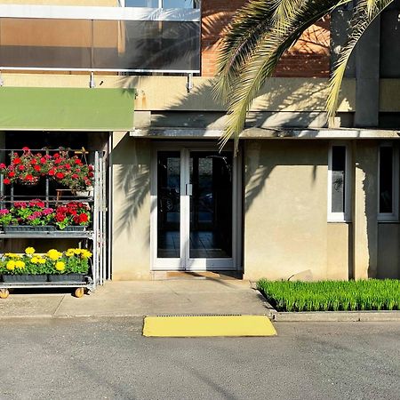 La Porte de l'Échappée Verte - Salon Extérieur&Parking Privé Albi Exterior foto